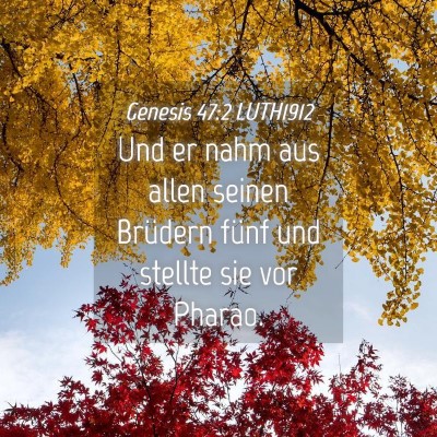 Picture 04 - Genesis 47:2 LUTH1912 - Und er nahm aus allen seinen Brüdern fünf und - Bible Verse Picture
