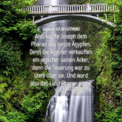 Picture 04 - Genesis 47:20 LUTH1912 - Also kaufte Joseph dem Pharao das ganze Ägypten. - Bible Verse Picture