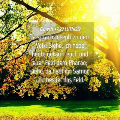 Picture 04 - Genesis 47:23 LUTH1912 - Da sprach Joseph zu dem Volk: Siehe, ich habe - Bible Verse Picture