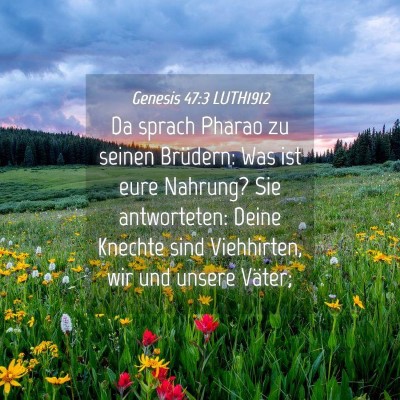 Picture 04 - Genesis 47:3 LUTH1912 - Da sprach Pharao zu seinen Brüdern: Was ist eure - Bible Verse Picture