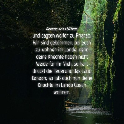Picture 04 - Genesis 47:4 LUTH1912 - und sagten weiter zu Pharao: Wir sind gekommen, - Bible Verse Picture