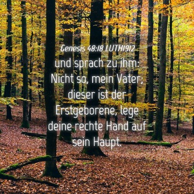 Picture 04 - Genesis 48:18 LUTH1912 - und sprach zu ihm: Nicht so, mein Vater; dieser - Bible Verse Picture