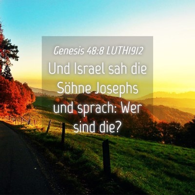 Picture 04 - Genesis 48:8 LUTH1912 - Und Israel sah die Söhne Josephs und sprach: Wer - Bible Verse Picture