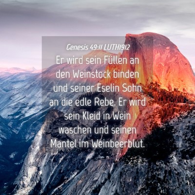 Picture 04 - Genesis 49:11 LUTH1912 - Er wird sein Füllen an den Weinstock binden und - Bible Verse Picture