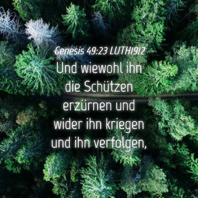 Picture 04 - Genesis 49:23 LUTH1912 - Und wiewohl ihn die Schützen erzürnen und wider - Bible Verse Picture