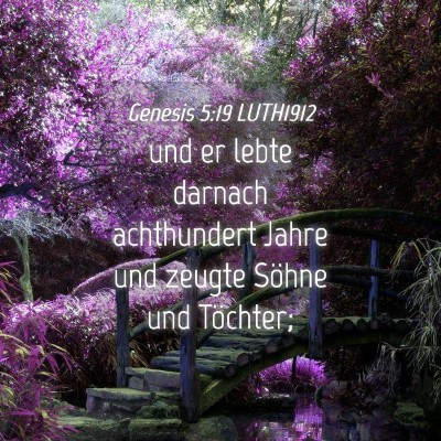 Picture 04 - Genesis 5:19 LUTH1912 - und er lebte darnach achthundert Jahre und zeugte - Bible Verse Picture