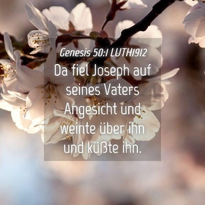 Picture 04 - Genesis 50:1 LUTH1912 - Da fiel Joseph auf seines Vaters Angesicht und - Bible Verse Picture