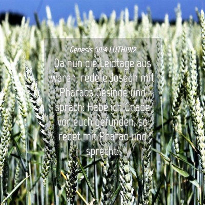 Picture 04 - Genesis 50:4 LUTH1912 - Da nun die Leidtage aus waren, redete Joseph mit - Bible Verse Picture
