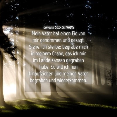 Picture 04 - Genesis 50:5 LUTH1912 - Mein Vater hat einen Eid von mir genommen und - Bible Verse Picture