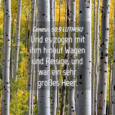 Picture 04 - Genesis 50:9 LUTH1912 - Und es zogen mit ihm hinauf Wagen und Reisige, - Bible Verse Picture