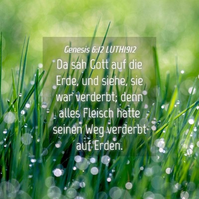 Picture 04 - Genesis 6:12 LUTH1912 - Da sah Gott auf die Erde, und siehe, sie war - Bible Verse Picture