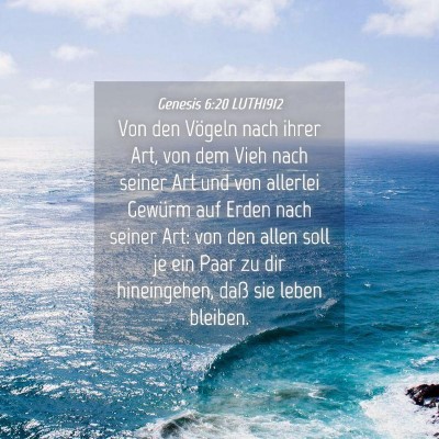 Picture 04 - Genesis 6:20 LUTH1912 - Von den Vögeln nach ihrer Art, von dem Vieh nach - Bible Verse Picture