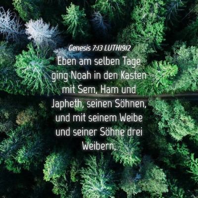 Picture 04 - Genesis 7:13 LUTH1912 - Eben am selben Tage ging Noah in den Kasten mit - Bible Verse Picture