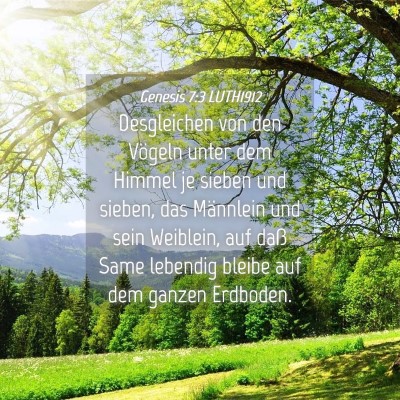 Picture 04 - Genesis 7:3 LUTH1912 - Desgleichen von den Vögeln unter dem Himmel je - Bible Verse Picture