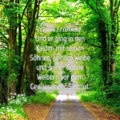 Picture 04 - Genesis 7:7 LUTH1912 - Und er ging in den Kasten mit seinen Söhnen, - Bible Verse Picture