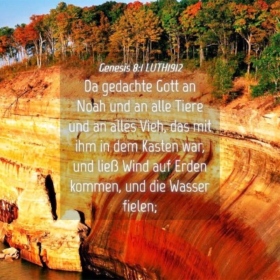 Picture 04 - Genesis 8:1 LUTH1912 - Da gedachte Gott an Noah und an alle Tiere und an - Bible Verse Picture