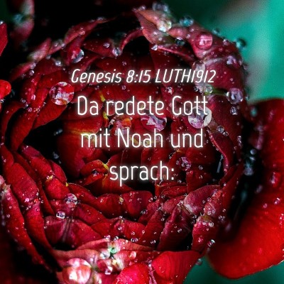 Picture 04 - Genesis 8:15 LUTH1912 - Da redete Gott mit Noah und - Bible Verse Picture