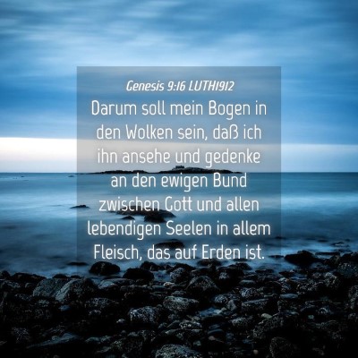 Picture 04 - Genesis 9:16 LUTH1912 - Darum soll mein Bogen in den Wolken sein, daß - Bible Verse Picture