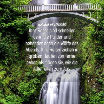 Picture 04 - Habakuk 1:8 LUTH1912 - Ihre Rosse sind schneller denn die Parder und - Bible Verse Picture
