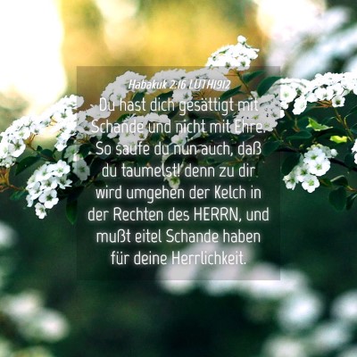 Picture 04 - Habakuk 2:16 LUTH1912 - Du hast dich gesättigt mit Schande und nicht mit - Bible Verse Picture