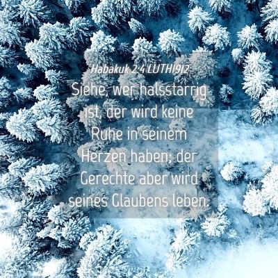 Picture 04 - Habakuk 2:4 LUTH1912 - Siehe, wer halsstarrig ist, der wird keine Ruhe - Bible Verse Picture