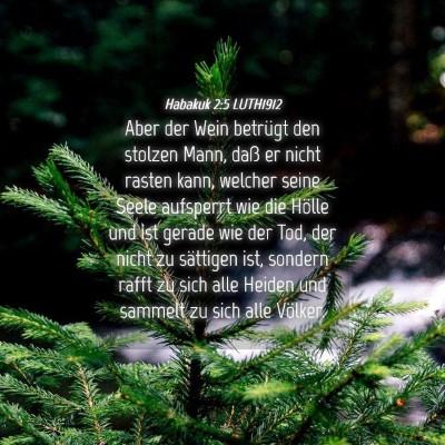Picture 04 - Habakuk 2:5 LUTH1912 - Aber der Wein betrügt den stolzen Mann, daß er - Bible Verse Picture