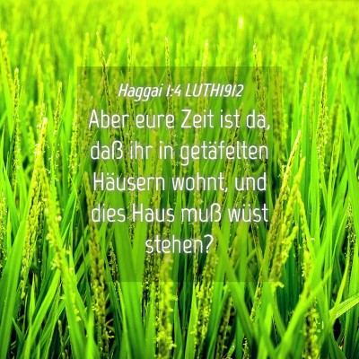 Picture 04 - Haggai 1:4 LUTH1912 - Aber eure Zeit ist da, daß ihr in getäfelten - Bible Verse Picture