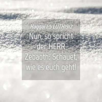 Picture 04 - Haggai 1:5 LUTH1912 - Nun, so spricht der HERR Zebaoth: Schauet, wie es - Bible Verse Picture