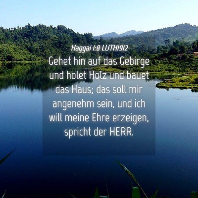 Picture 04 - Haggai 1:8 LUTH1912 - Gehet hin auf das Gebirge und holet Holz und - Bible Verse Picture