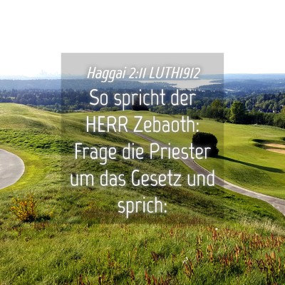 Picture 04 - Haggai 2:11 LUTH1912 - So spricht der HERR Zebaoth: Frage die Priester - Bible Verse Picture