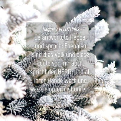 Picture 04 - Haggai 2:14 LUTH1912 - Da antwortete Haggai und sprach: Ebenalso sind - Bible Verse Picture