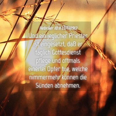 Picture 04 - Hebräer 10:11 LUTH1912 - Und ein jeglicher Priester ist eingesetzt, daß - Bible Verse Picture