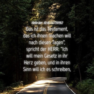 Picture 04 - Hebräer 10:16 LUTH1912 - Das ist das Testament, das ich ihnen machen will - Bible Verse Picture