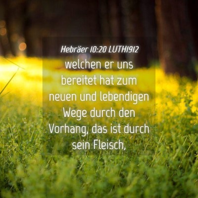 Picture 04 - Hebräer 10:20 LUTH1912 - welchen er uns bereitet hat zum neuen und - Bible Verse Picture