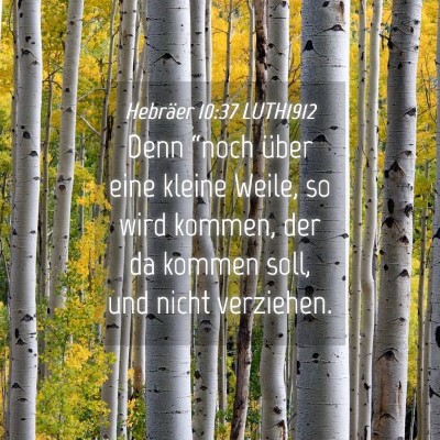 Picture 04 - Hebräer 10:37 LUTH1912 - Denn “noch über eine kleine Weile, so wird - Bible Verse Picture
