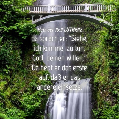 Picture 04 - Hebräer 10:9 LUTH1912 - da sprach er: “Siehe, ich komme, zu tun, Gott, - Bible Verse Picture