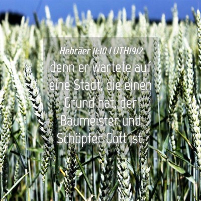 Picture 04 - Hebräer 11:10 LUTH1912 - denn er wartete auf eine Stadt, die einen Grund - Bible Verse Picture