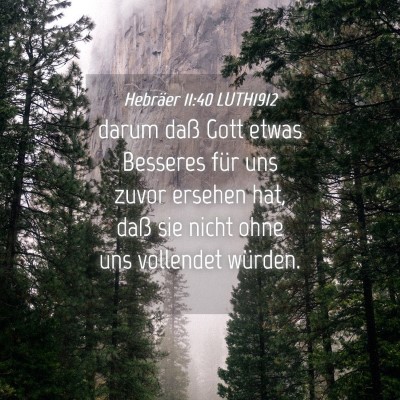 Picture 04 - Hebräer 11:40 LUTH1912 - darum daß Gott etwas Besseres für uns zuvor - Bible Verse Picture