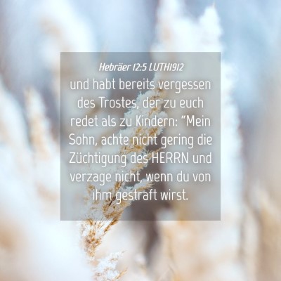 Picture 04 - Hebräer 12:5 LUTH1912 - und habt bereits vergessen des Trostes, der zu - Bible Verse Picture