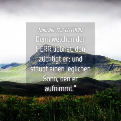 Picture 04 - Hebräer 12:6 LUTH1912 - Denn welchen der HERR liebhat, den züchtigt er; - Bible Verse Picture