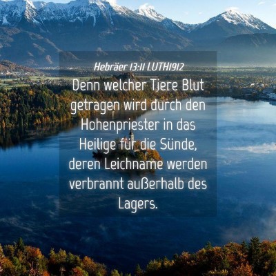 Picture 04 - Hebräer 13:11 LUTH1912 - Denn welcher Tiere Blut getragen wird durch den - Bible Verse Picture