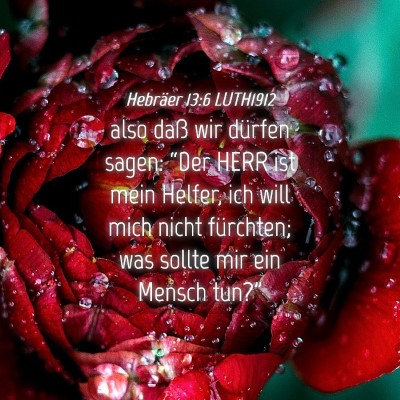 Picture 04 - Hebräer 13:6 LUTH1912 - also daß wir dürfen sagen: “Der HERR ist mein - Bible Verse Picture