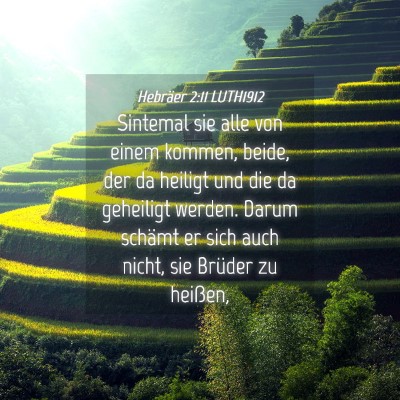 Picture 04 - Hebräer 2:11 LUTH1912 - Sintemal sie alle von einem kommen, beide, der da - Bible Verse Picture