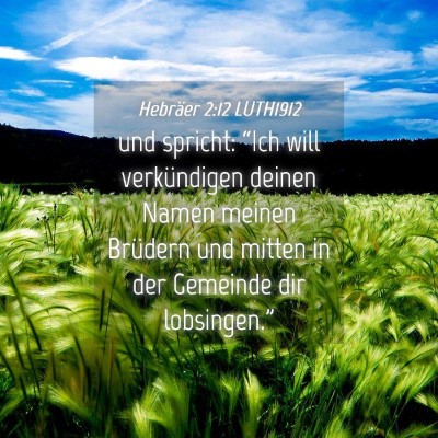 Picture 04 - Hebräer 2:12 LUTH1912 - und spricht: “Ich will verkündigen deinen - Bible Verse Picture