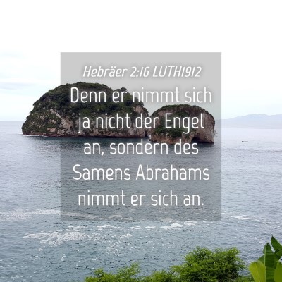 Picture 04 - Hebräer 2:16 LUTH1912 - Denn er nimmt sich ja nicht der Engel an, sondern - Bible Verse Picture