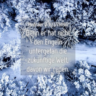 Picture 04 - Hebräer 2:5 LUTH1912 - Denn er hat nicht den Engeln untergetan die - Bible Verse Picture