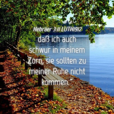 Picture 04 - Hebräer 3:11 LUTH1912 - daß ich auch schwur in meinem Zorn, sie sollten - Bible Verse Picture