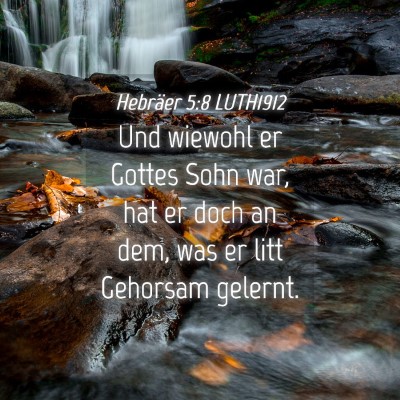 Picture 04 - Hebräer 5:8 LUTH1912 - Und wiewohl er Gottes Sohn war, hat er doch an - Bible Verse Picture