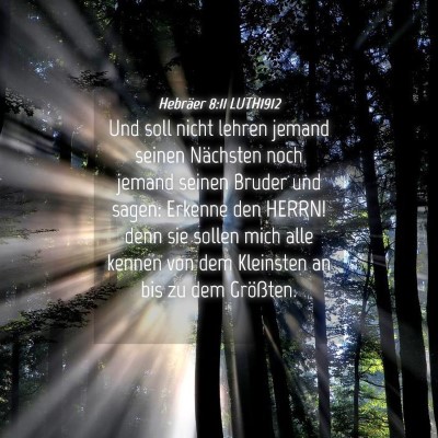 Picture 04 - Hebräer 8:11 LUTH1912 - Und soll nicht lehren jemand seinen Nächsten - Bible Verse Picture