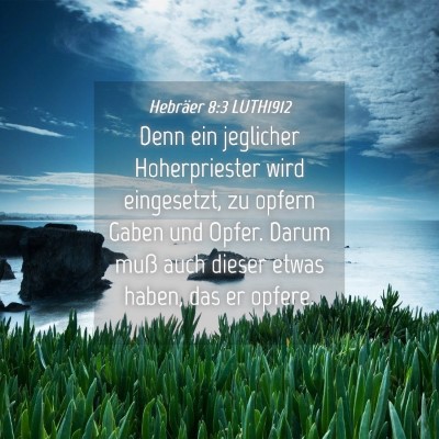 Picture 04 - Hebräer 8:3 LUTH1912 - Denn ein jeglicher Hoherpriester wird eingesetzt, - Bible Verse Picture